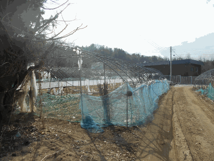 12.제시외물건 ㅇ