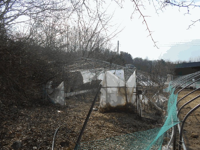 14.제시외물건 ㅊ