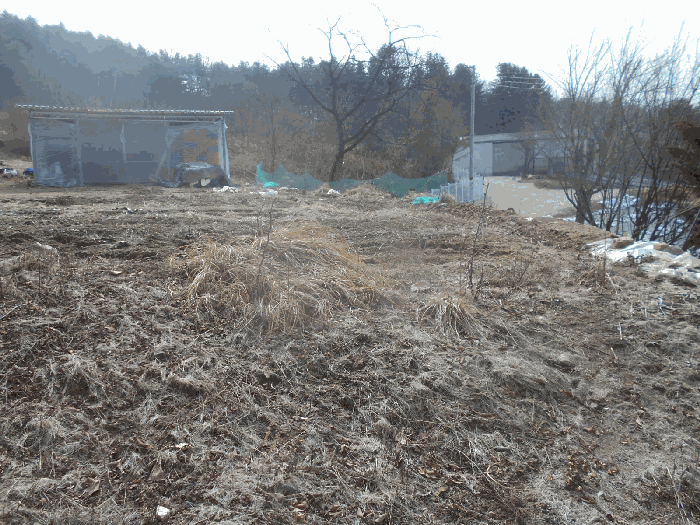 4.본건(동측부분2)