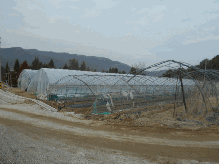 2.본건(서측부분)