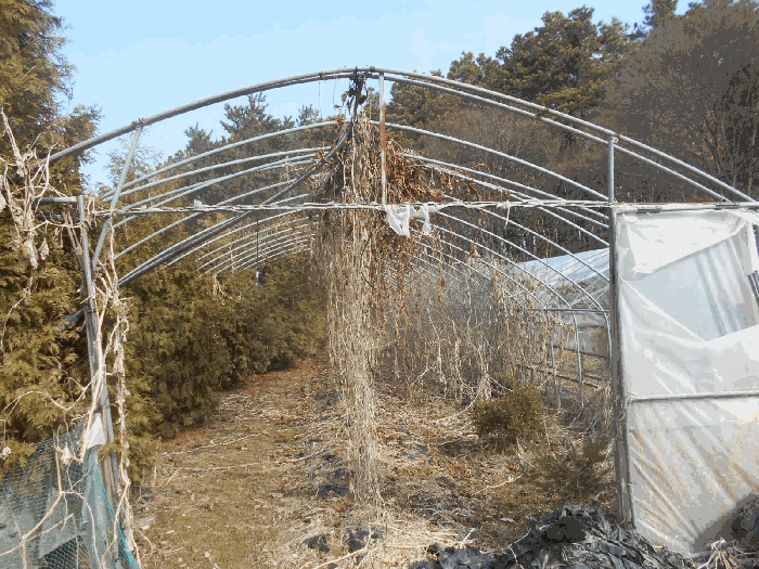 10.제시외물건 ㅂ