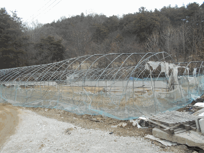 3.본건(동측부분1)