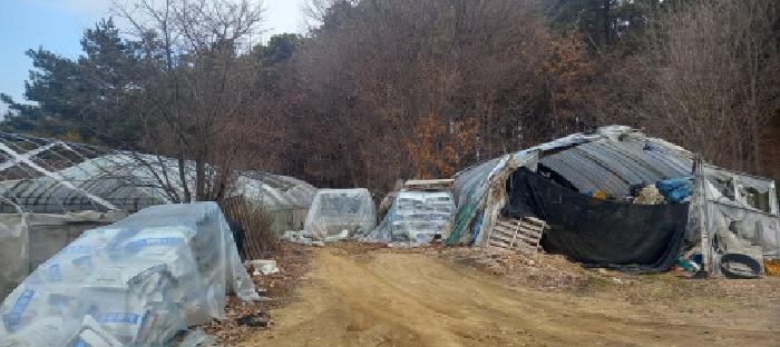 본건 토지 전경(비닐하우스)