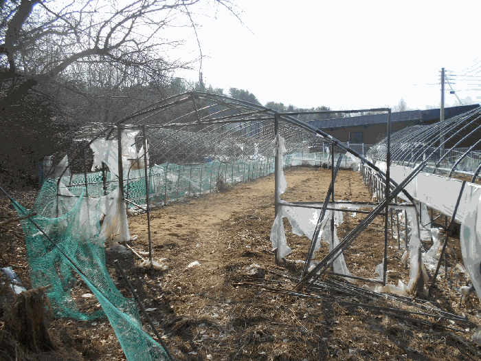 13.제시외물건 ㅈ