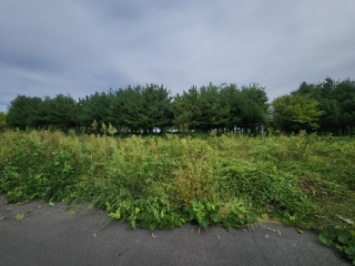 목록2 대지 전경2