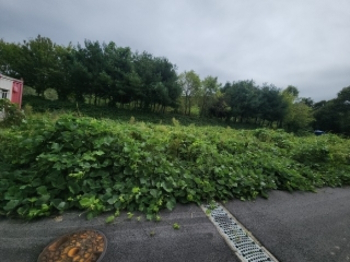 목록3 대지 전경