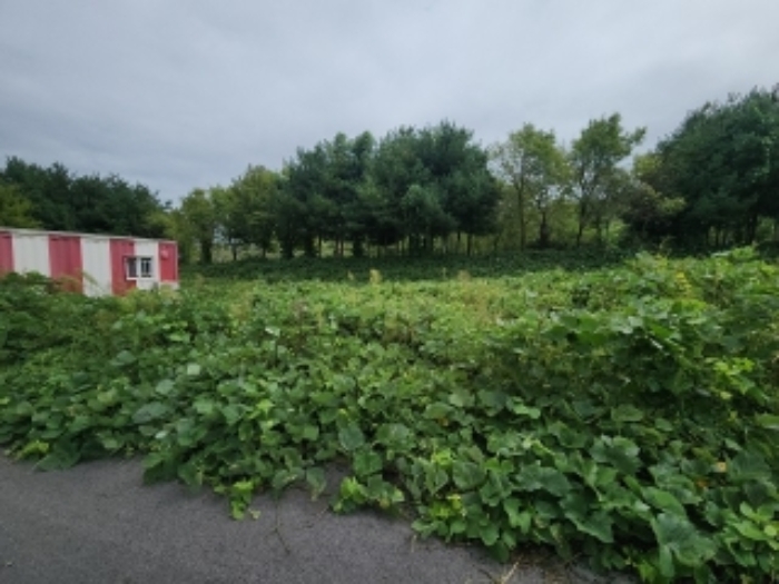 목록3 대지 전경2