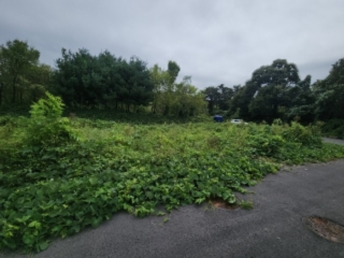 목록4 대지 전경2