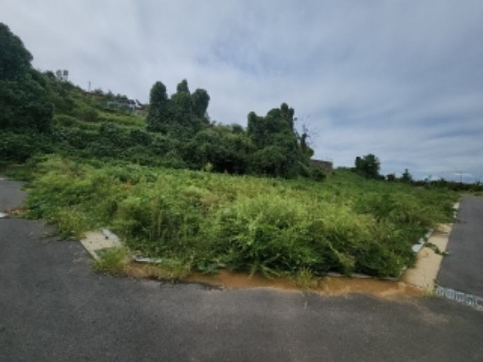 목록6 대지 전경