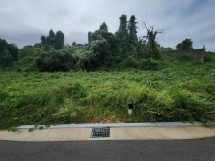 목록7 대지 전경