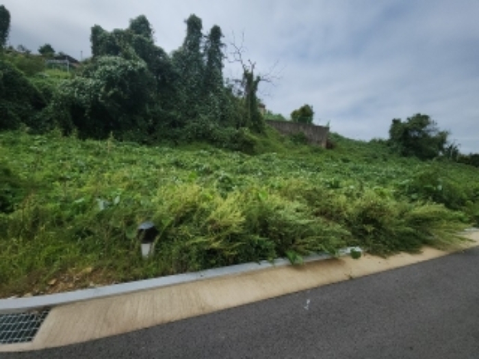 목록8 대지 전경