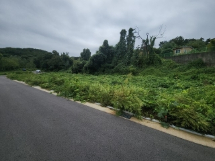 목록8 대지 전경2