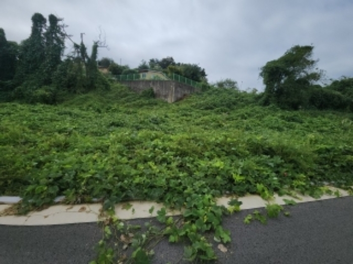 목록9 대지 전경