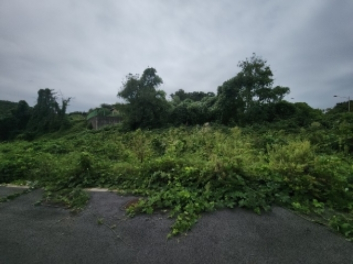 목록10 대지 전경