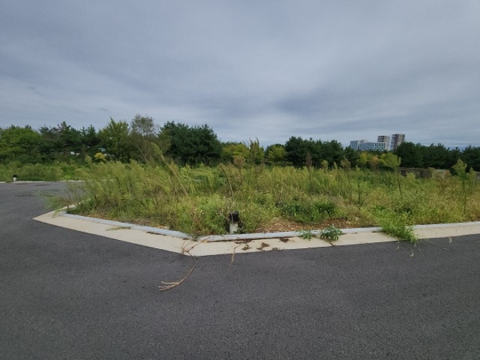 목록11 대지 전경