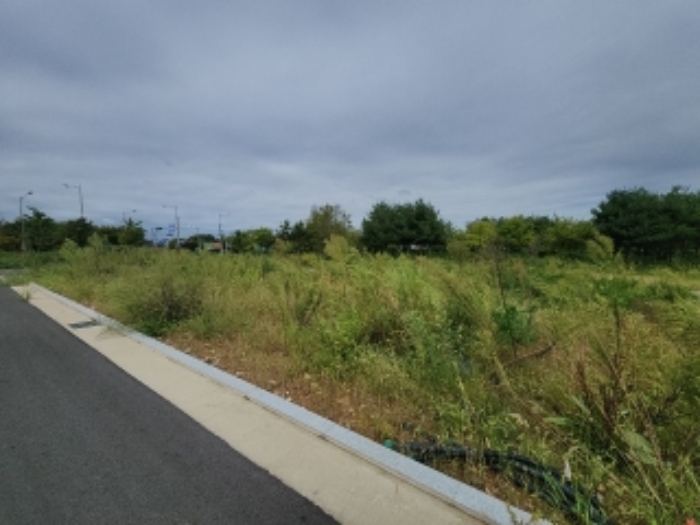 목록11 대지 전경2