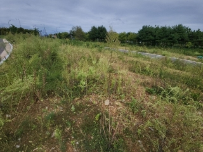 목록12 대지 전경2