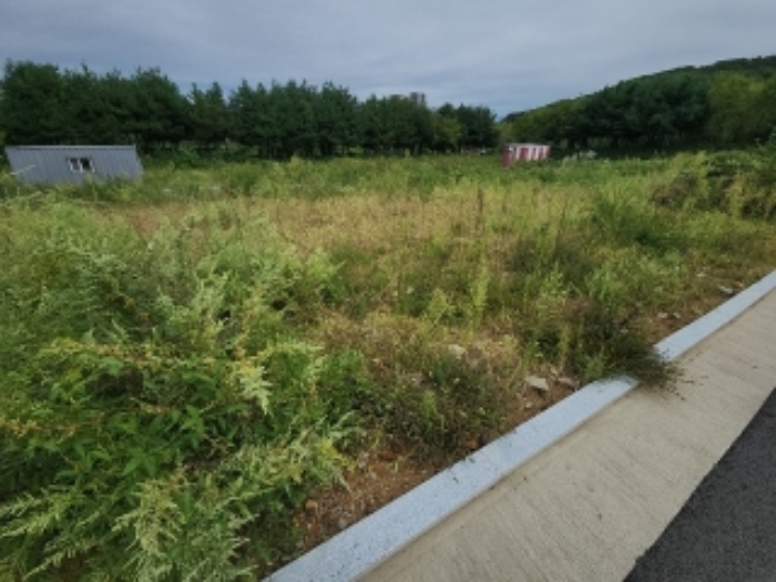 목록14 대지 전경