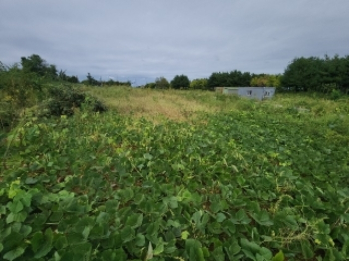 목록14 대지 전경2