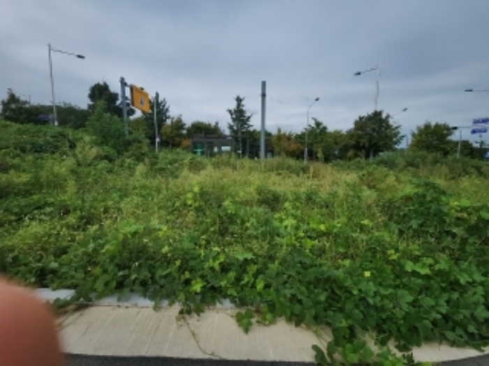 목록1 도로 전경