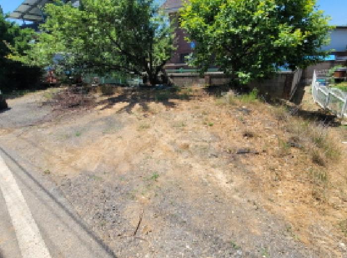 목록 1. 모습 2(건물 뒤쪽)