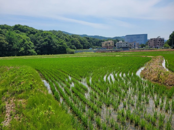 본건전경(일련번호 4))