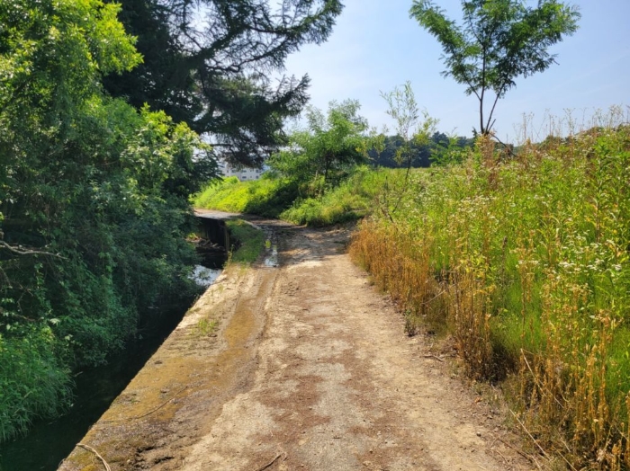 주위환경(일련번호 4)남측 도로)