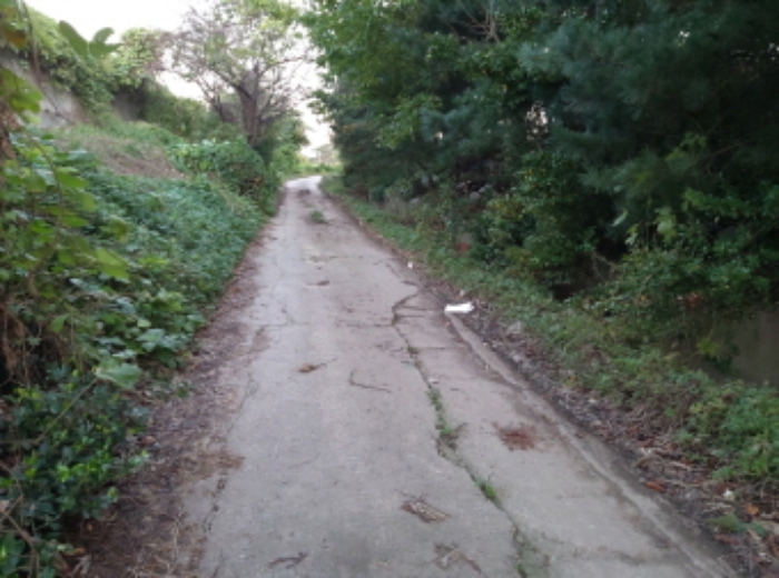 * 본건 목적물 진입도로 전경