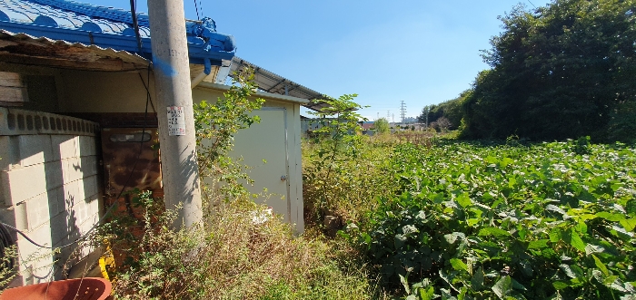 제시외 ㄴ 전경