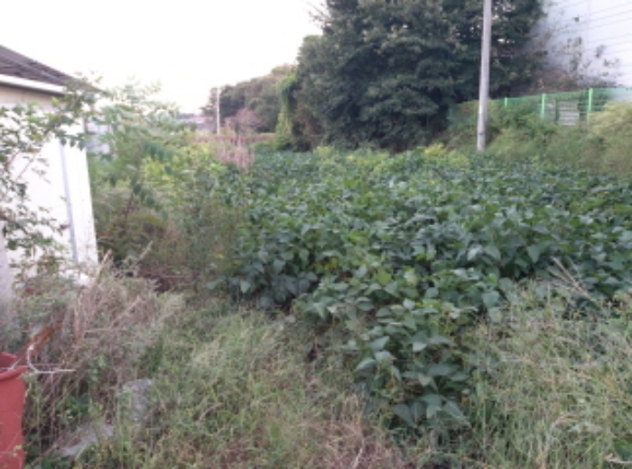 * 본건 목적물 2. 전경