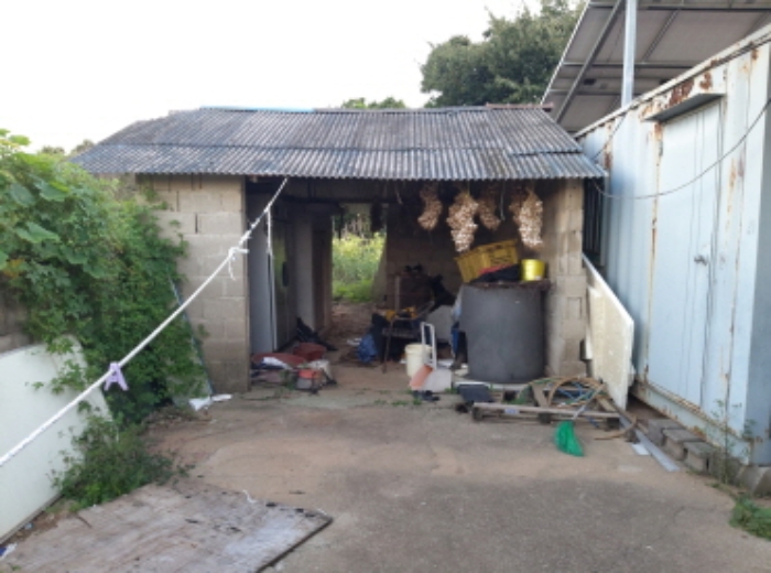 * 본건 목적물 1. 지상 부속창고 전경