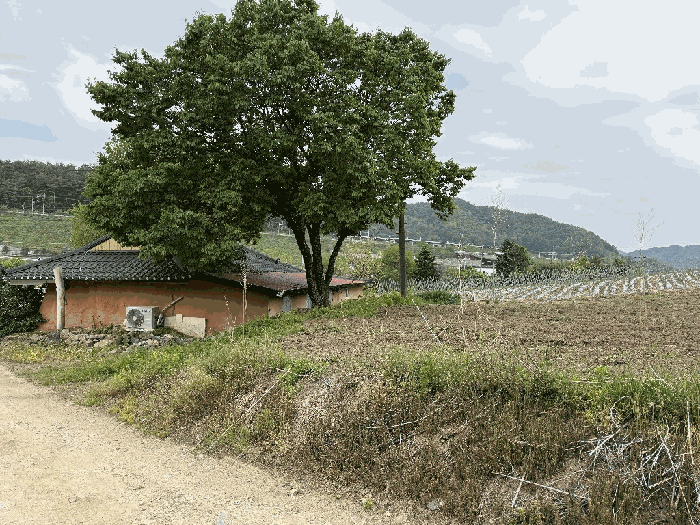 본건 토지 기호(2)