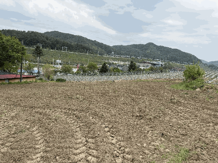 본건 토지 기호(3)