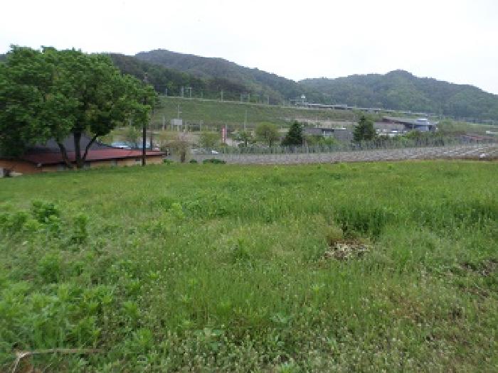 목록3 근접촬영