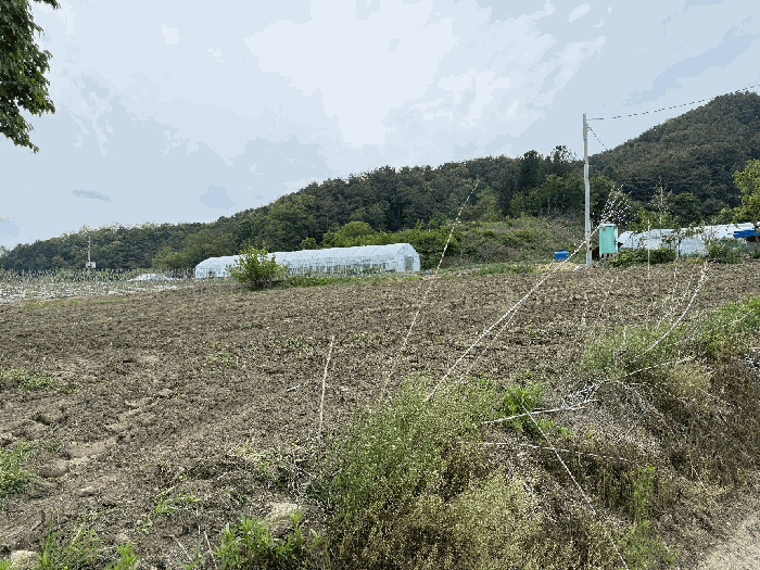 본건 토지 기호(3)