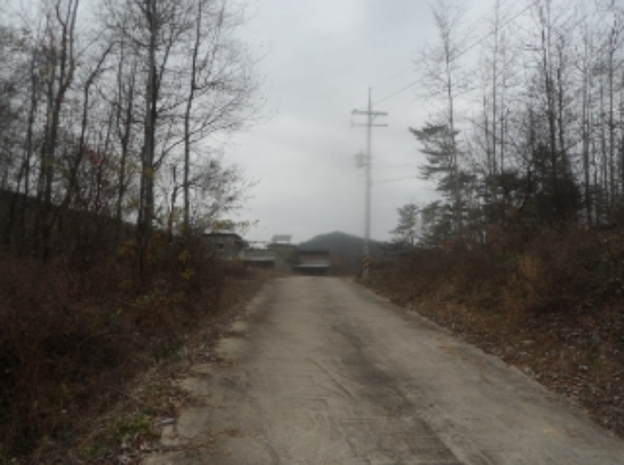 기호 9번 근거리에서 촬영한 것임