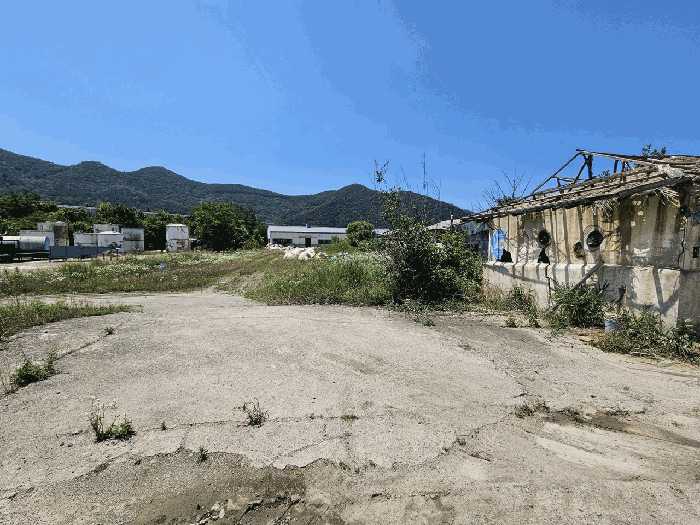 기호(1,5,6) 전경