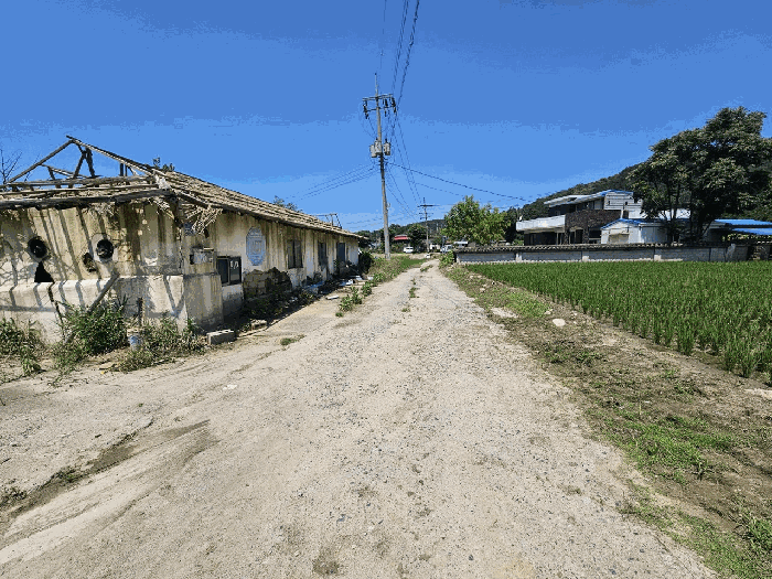 기호(1,5,6) 진입 부분