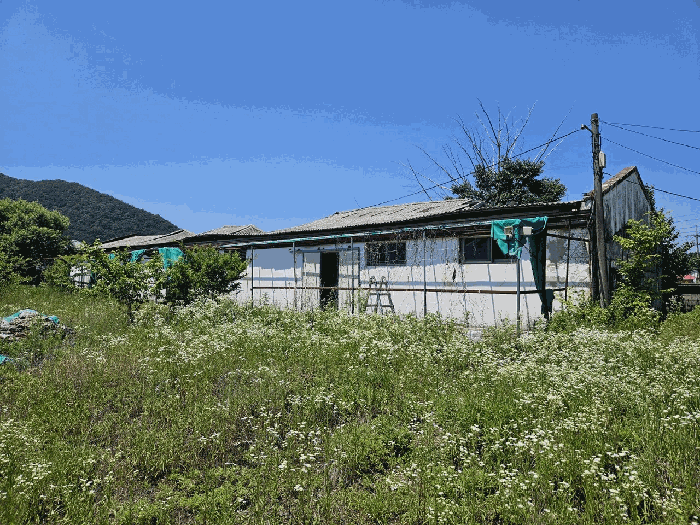 기호(4-다) 전경