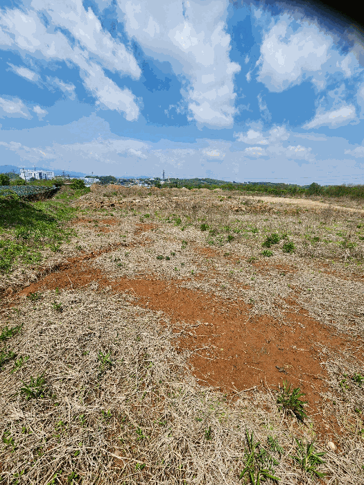 일련번호 (2) 토지 전경