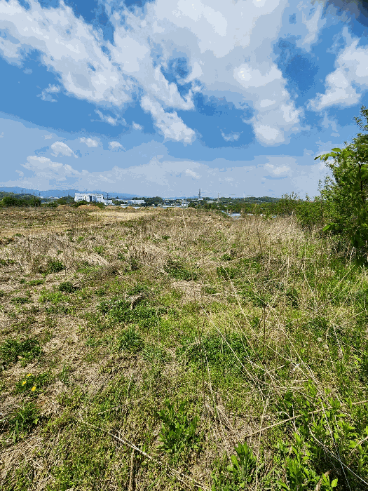 일련번호 (2) 토지 전경