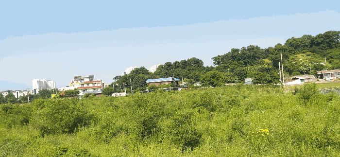 [ 본건(3) 전  경 ]