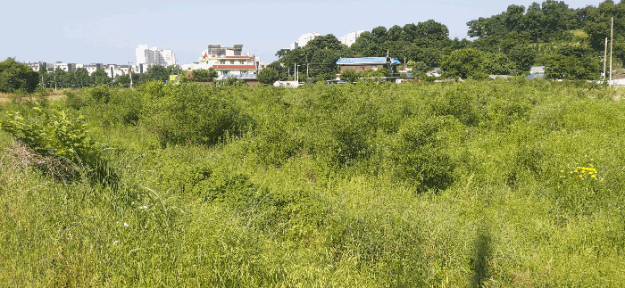 [ 본건(2) 전  경 ]