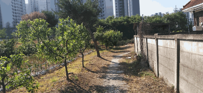 [ 비포장도로 부분 ]