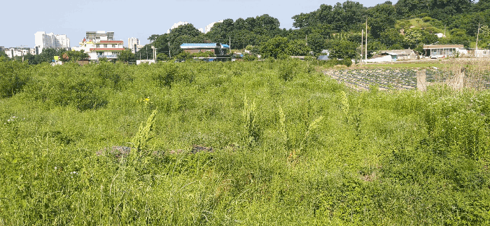 [ 본건(4) 전  경 ]