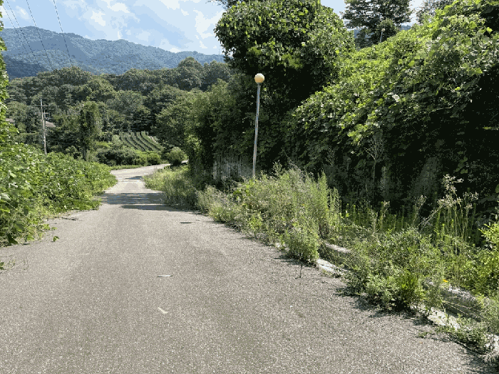 본건 주위 전경