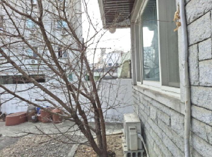 제시외 수목 모습