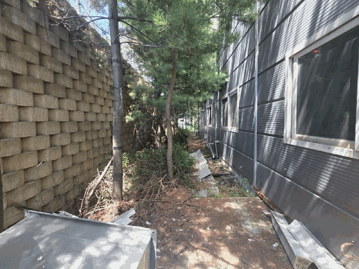 [제시외 수목(포함평가)]