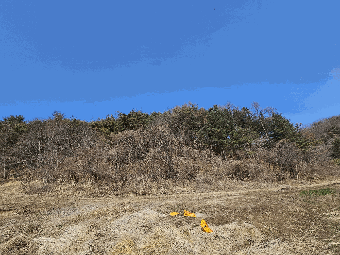 [ 일련번호 8