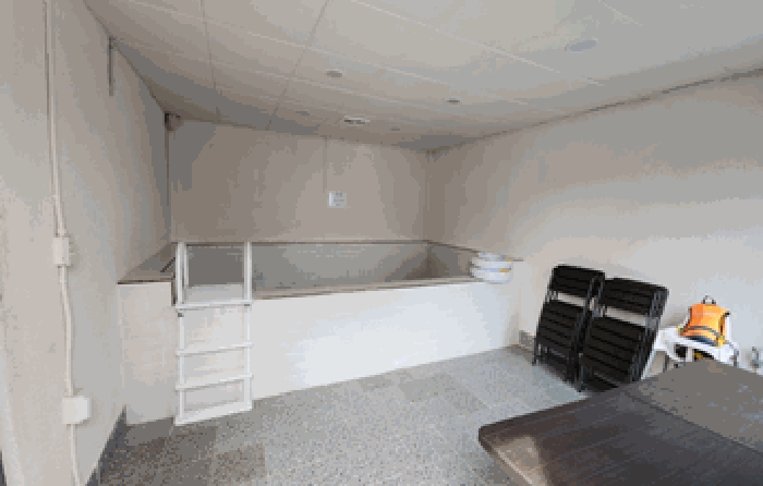 【 제시외 건물